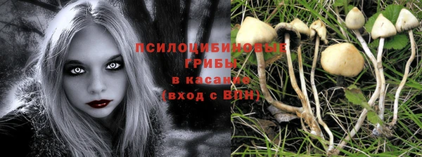 синтетический гашиш Армянск