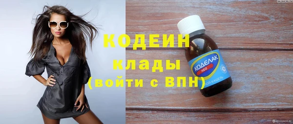 дживик Пересвет